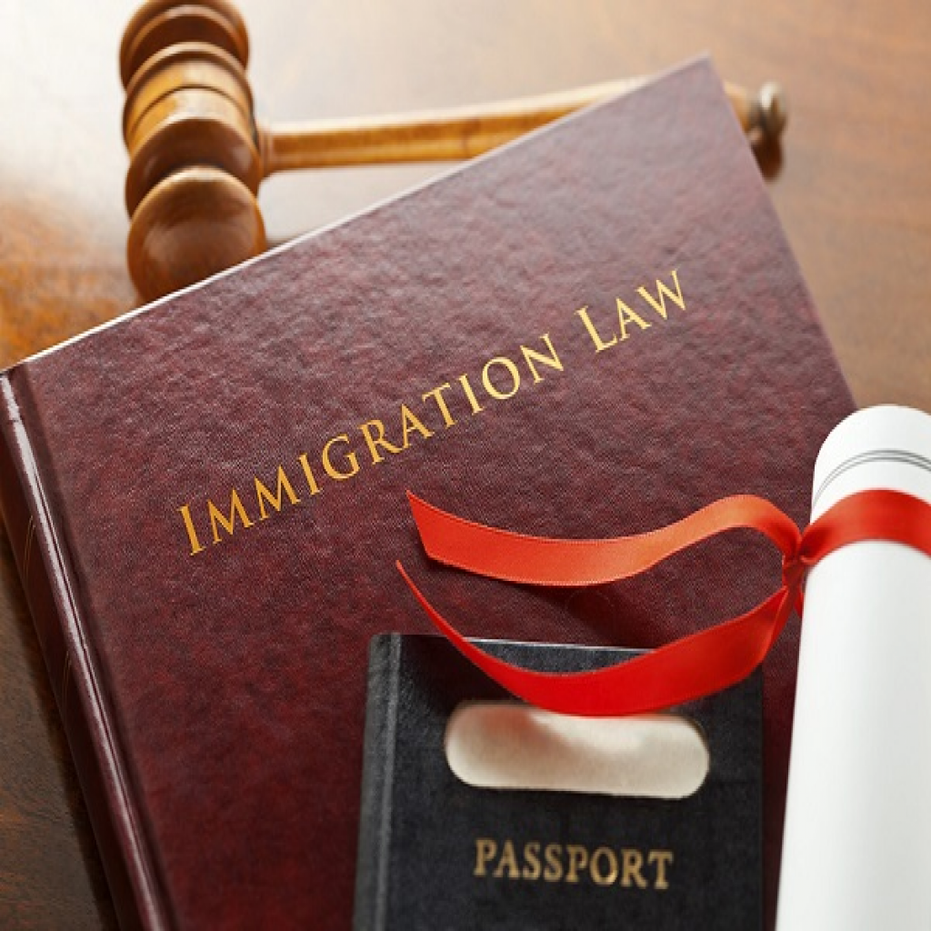 Immigration Lawyer 0