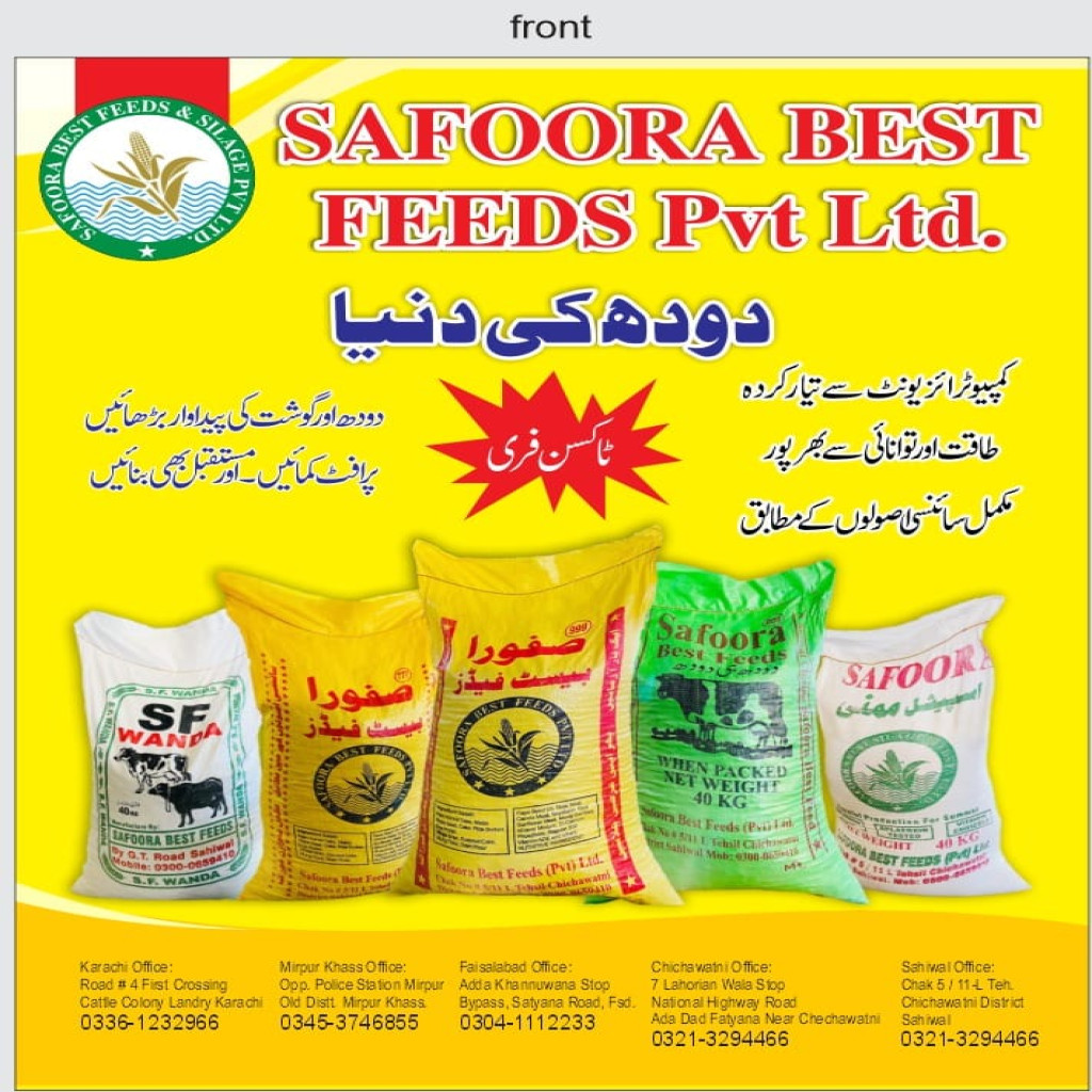 Safoora Feeds 8